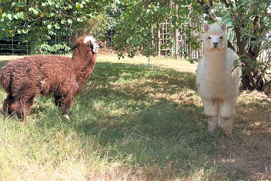Une Chambre à la Campagne