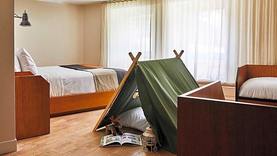 Trailborn Rocky Mountains