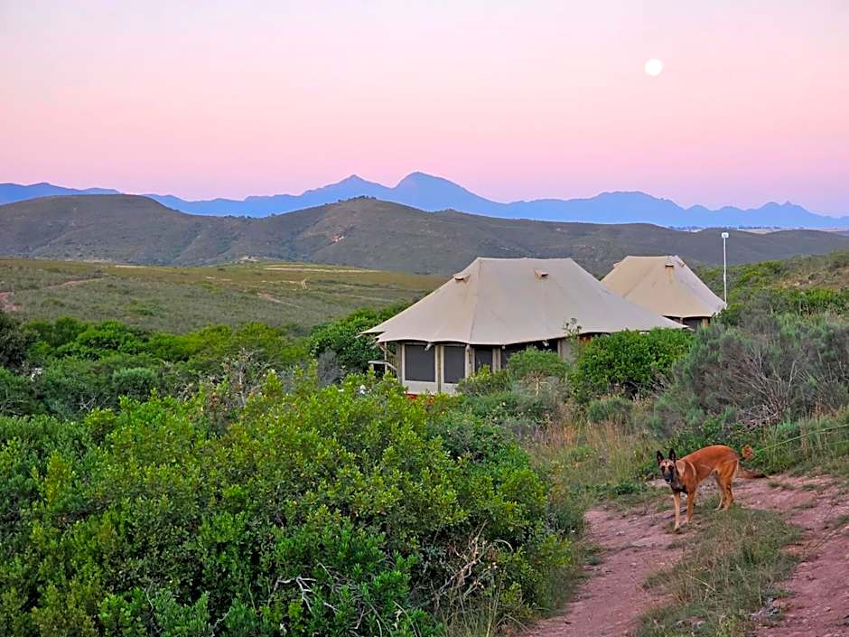 Garden Route Safari Camp