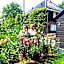 Bed and Breakfast De Volkelse Hooiberg