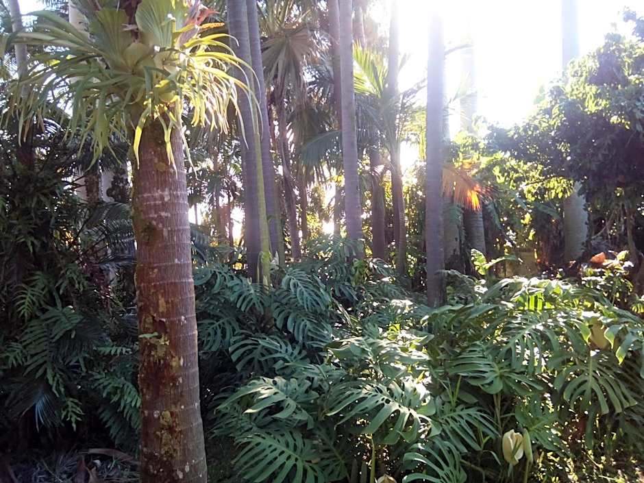 Poivre et Citronnelle