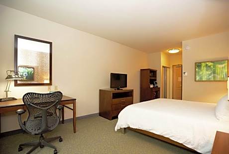 1 King Bed Evolution Room