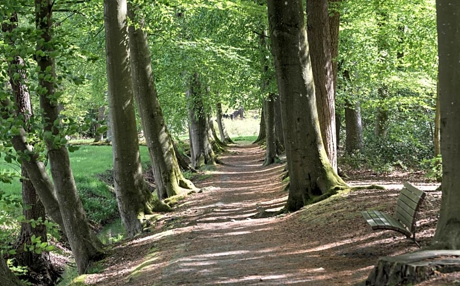 De Burcht-Drenthe