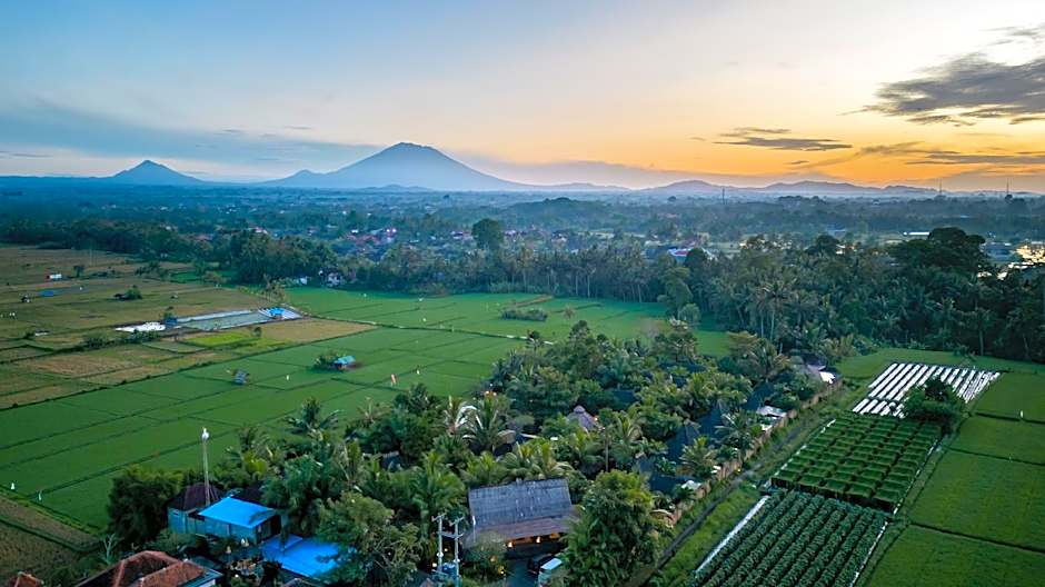 Arya Villas Ubud