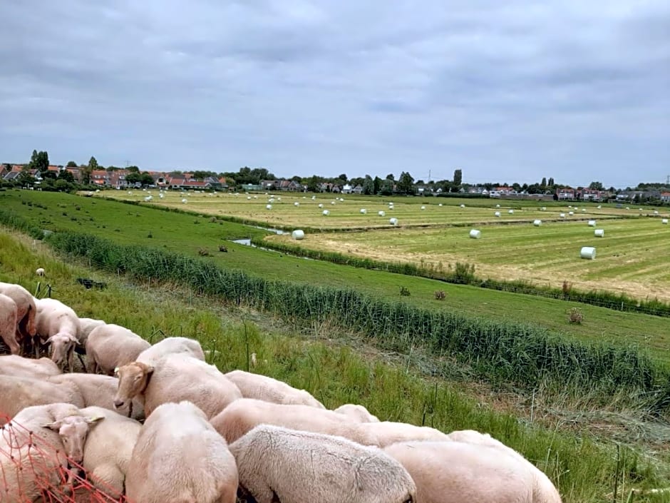 B & B Tulp Amsterdam Noord