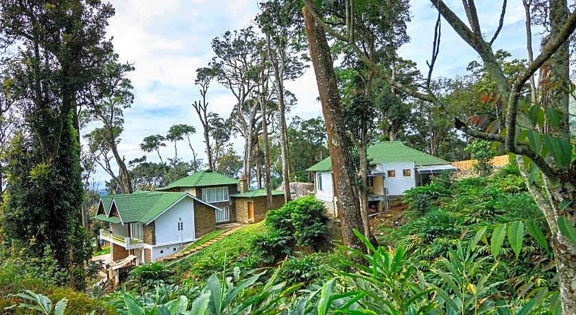 Neelakurunji Plantation Munnar