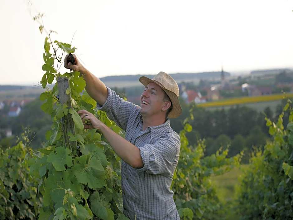 Worners Schloss Weingut & Wellness-Hotel