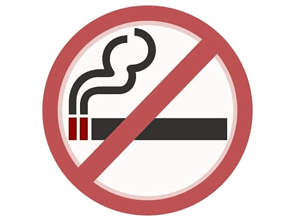 Southern Village Okinawa - Vacation STAY 09971v