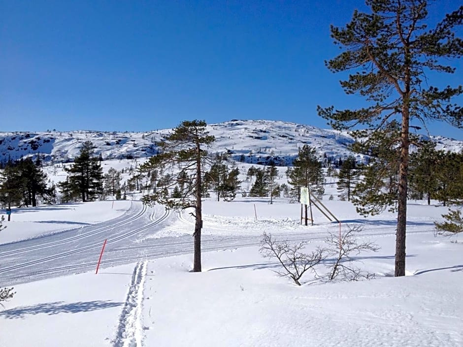 Vrådal Panorama - Tiuråsvegen 39