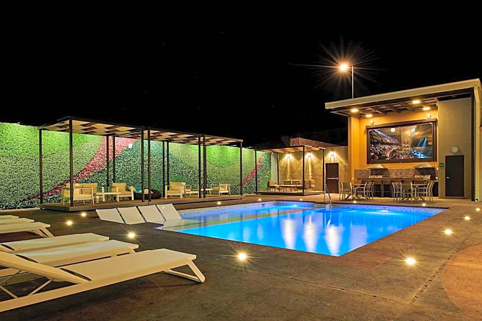 Wingate by Wyndham Chihuahua