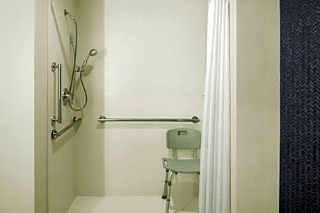 King Room with Transfer Shower and Sofa Bed - Mobility Access/Hearing Accessible