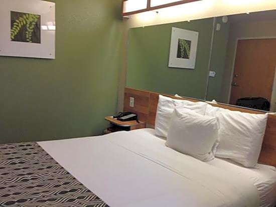 Microtel Inn & Suites by Wyndham Saraland