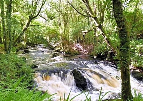 Ross Lake House Hotel