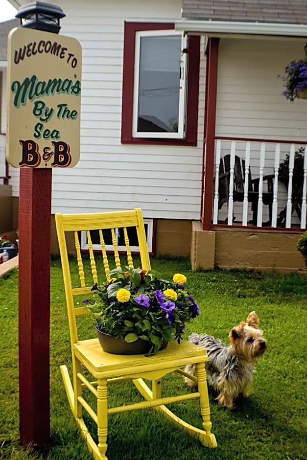 Mama`s By The Sea B&B