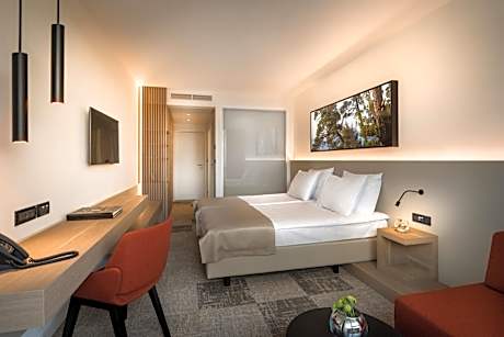 Standard Twin Room with Extra Bed