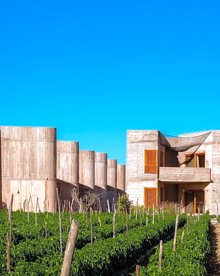 Paradero Todos Santos - Exclusive experiences included