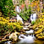 Nacoochee Valley Rentals