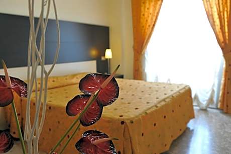 Standard Double/Twin Room