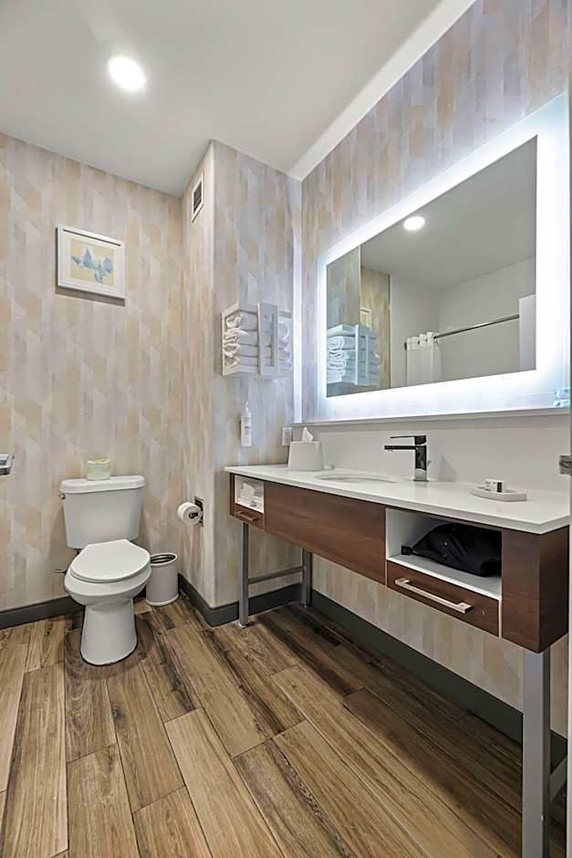 Hampton Inn By Hilton Seguin, Tx