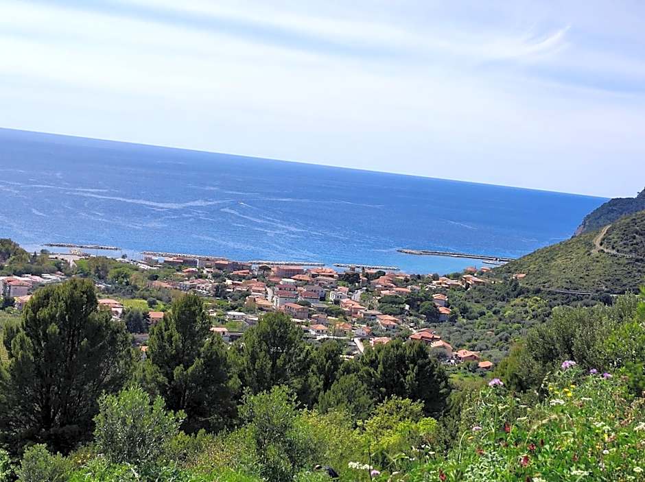 IL CONTE DI MARRAONE