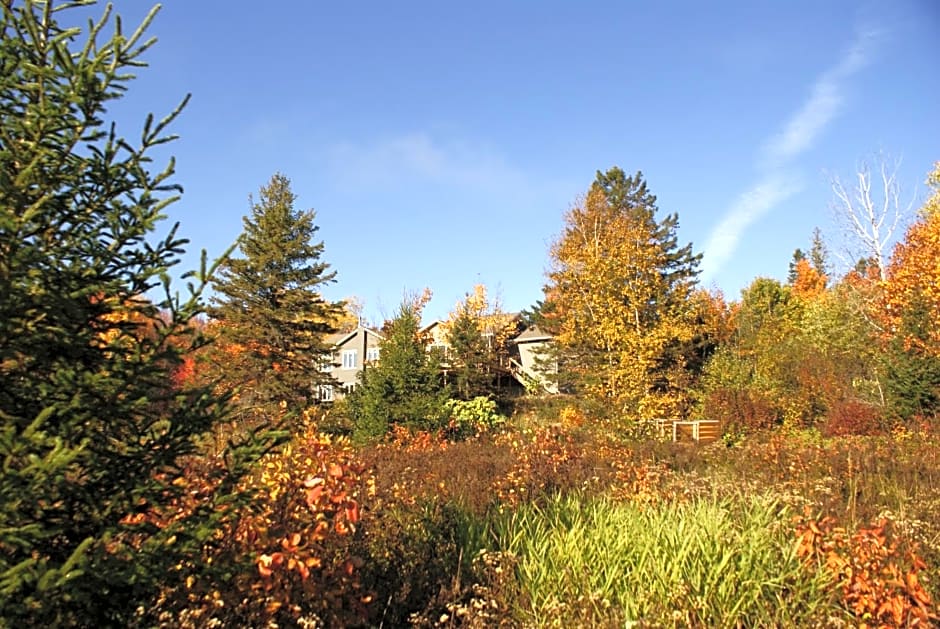Top of Algonquin Bed and Breakfast