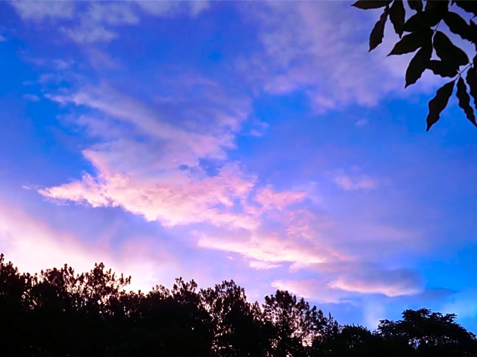 Les Hébergements Nature et Bien-être