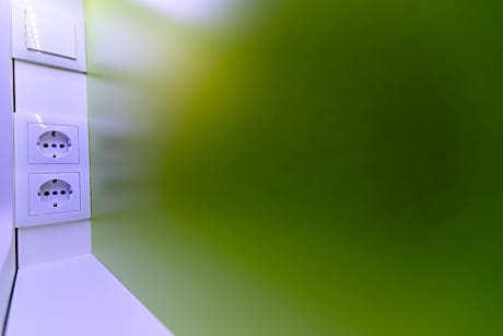 Bed in 4-Bed Mixed Dormitory Room