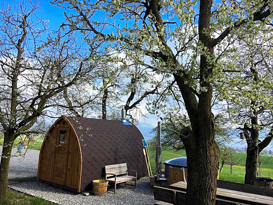 B&B Friedau
