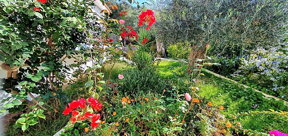 LIvadi Studios with Pool