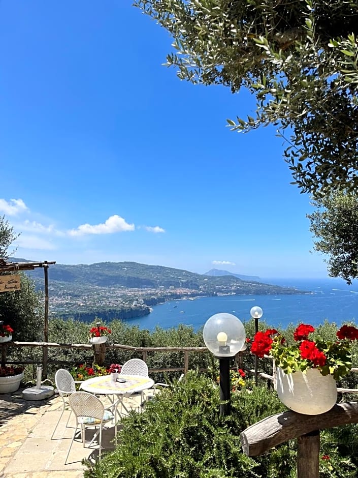 Elisabeth Seaview Apartments Sorrento Coast