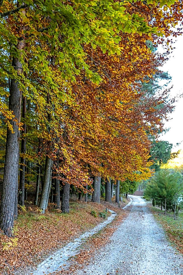 Boticas Parque Natur Houses