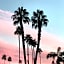 Delos Reyes Palm Springs