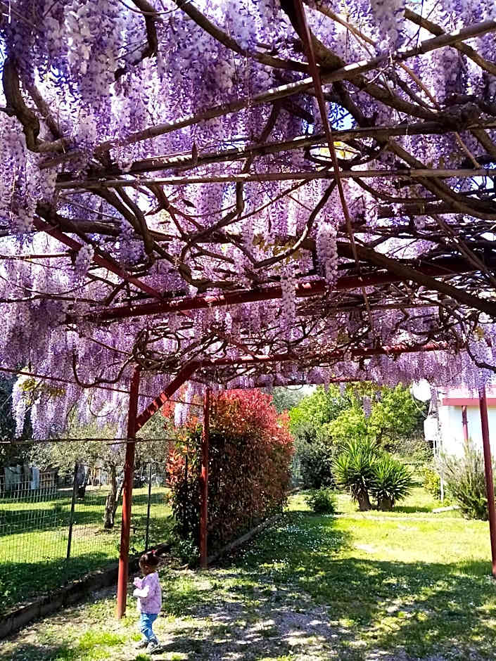 La Casa Gialla A MONTIGNOSO