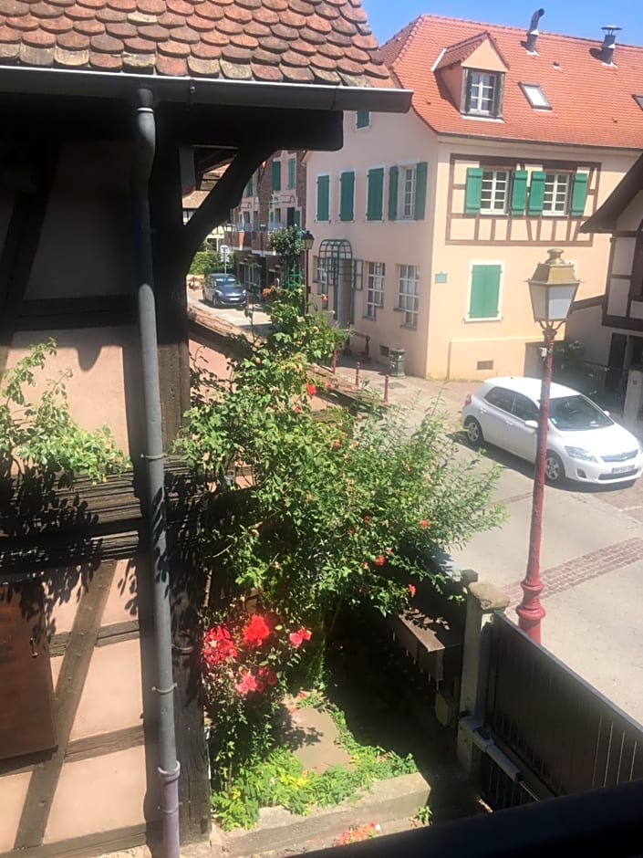 Gîte de caractère au calme , proche quartier historique, Au Merlenchanteur – Schiltigheim, 