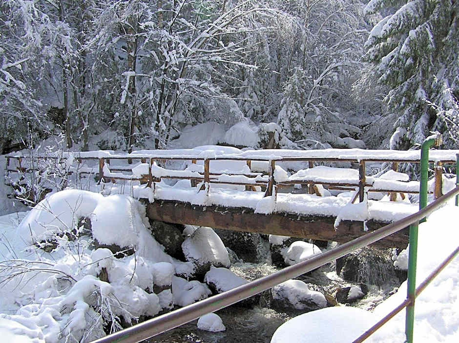 Waldgasthaus & Berghotel Steinerne Renne