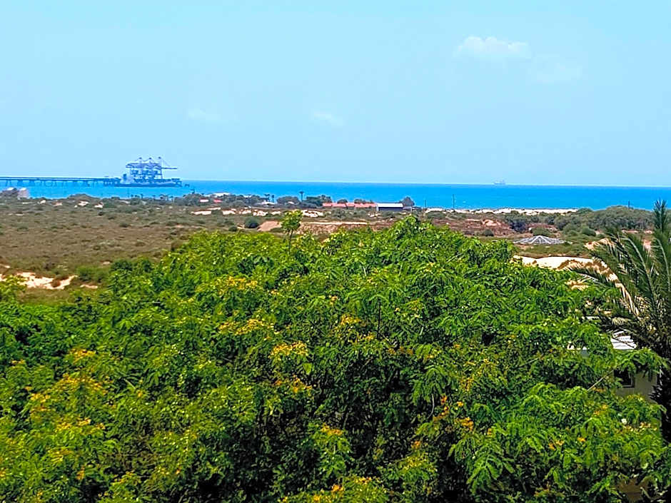 Neot Golf, Ziv's Place