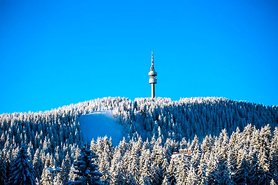 Sunny Hills Ski&Wellness