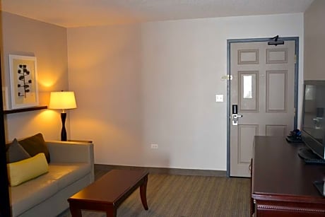 King Bed-Studio Suite-Non Smoking