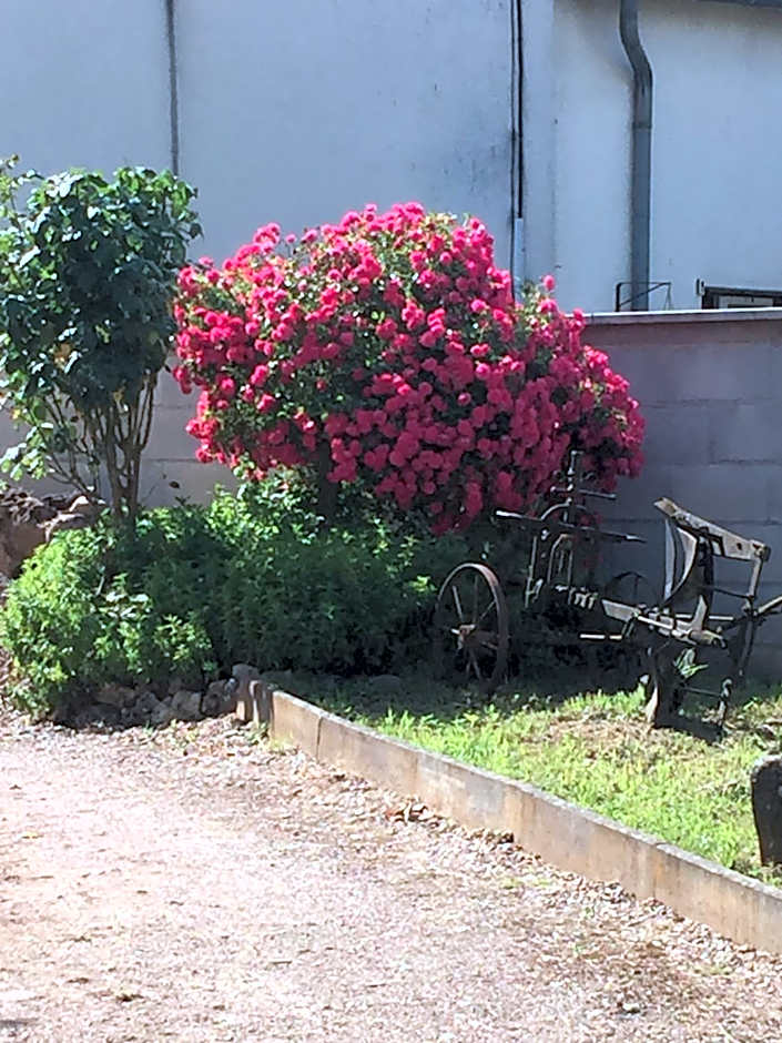 Bienvenue A La Campagne