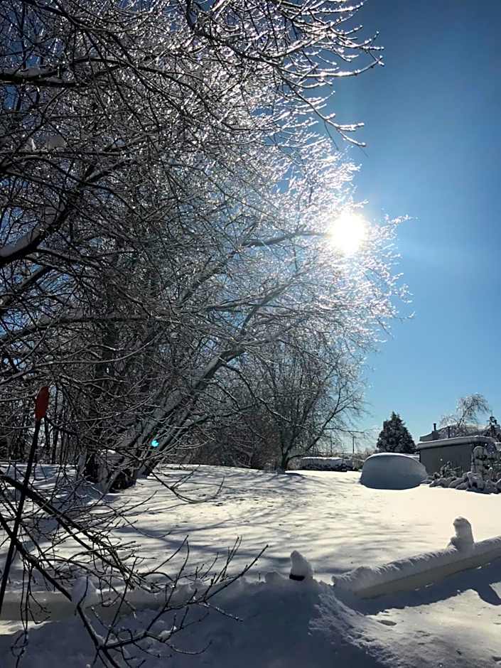 Auberge du Sault-à-la-Puce