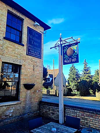 the walnut tree