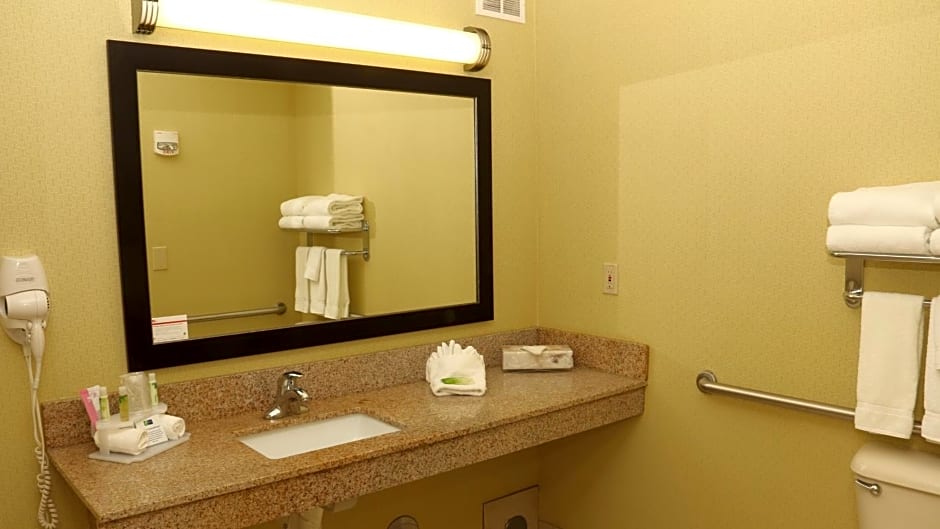 Holiday Inn Express Hotel & Suites Saginaw by IHG