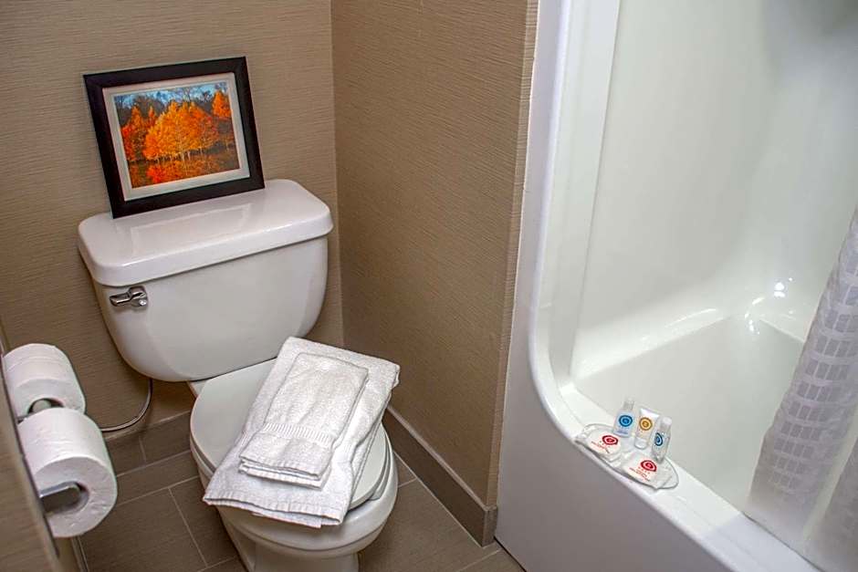 Comfort Inn Dickson