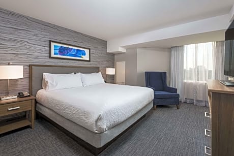 1 King Bed 1 Bedroom Suite Nonsmoking