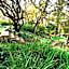 Glenburn Lodge & Spa