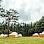 PICA Fujiyama