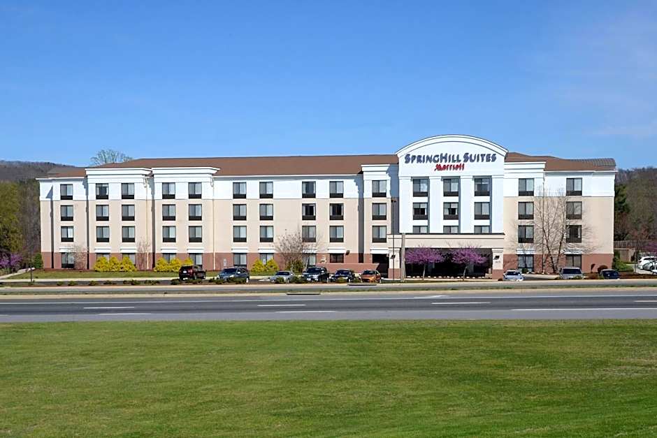 SpringHill Suites by Marriott Lynchburg Airport/University Area