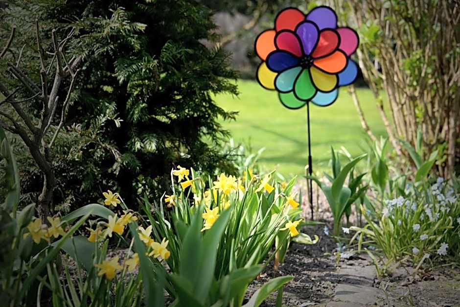 Notarishuis Beveren B&B