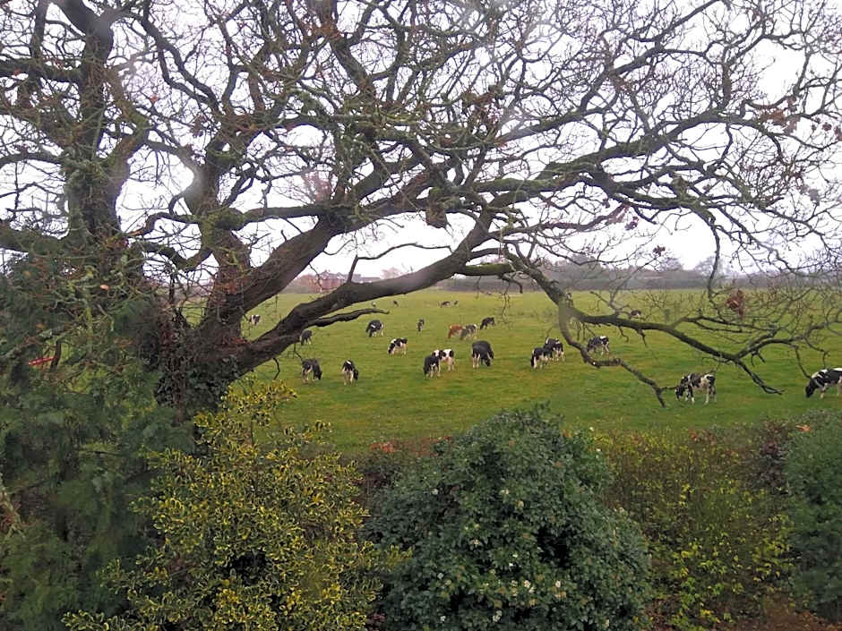 Twin Oaks Bed & Breakfast