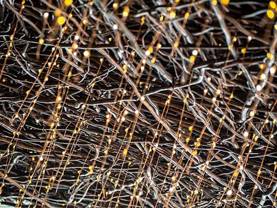 The Peregrine Omaha Downtown Curio Collection by Hilton